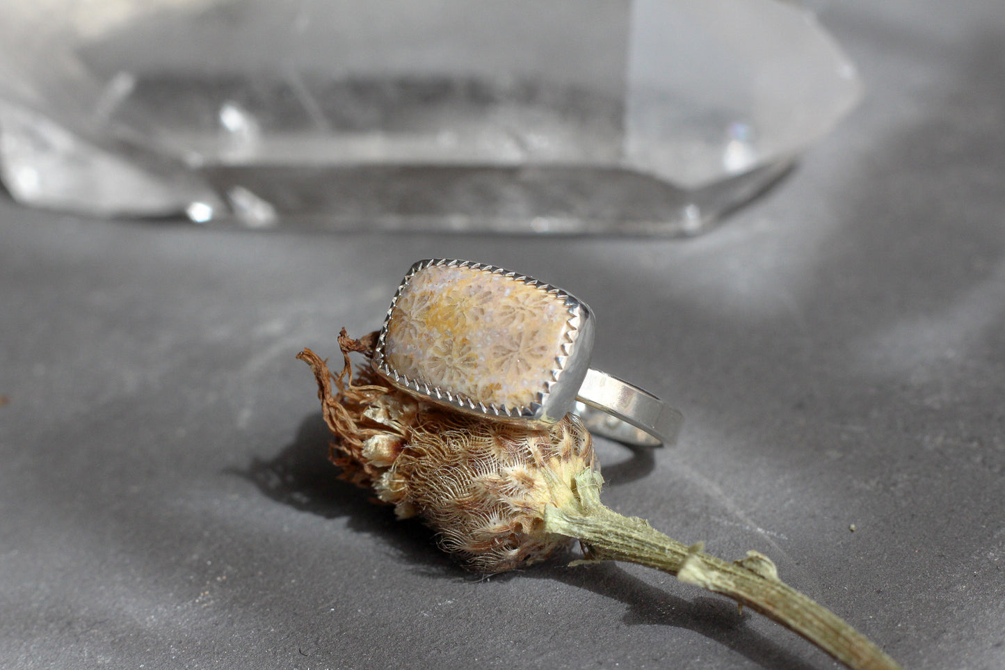 Fossilized Coral Ring // size 8