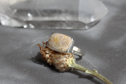 Fossilized Coral Ring // size 8