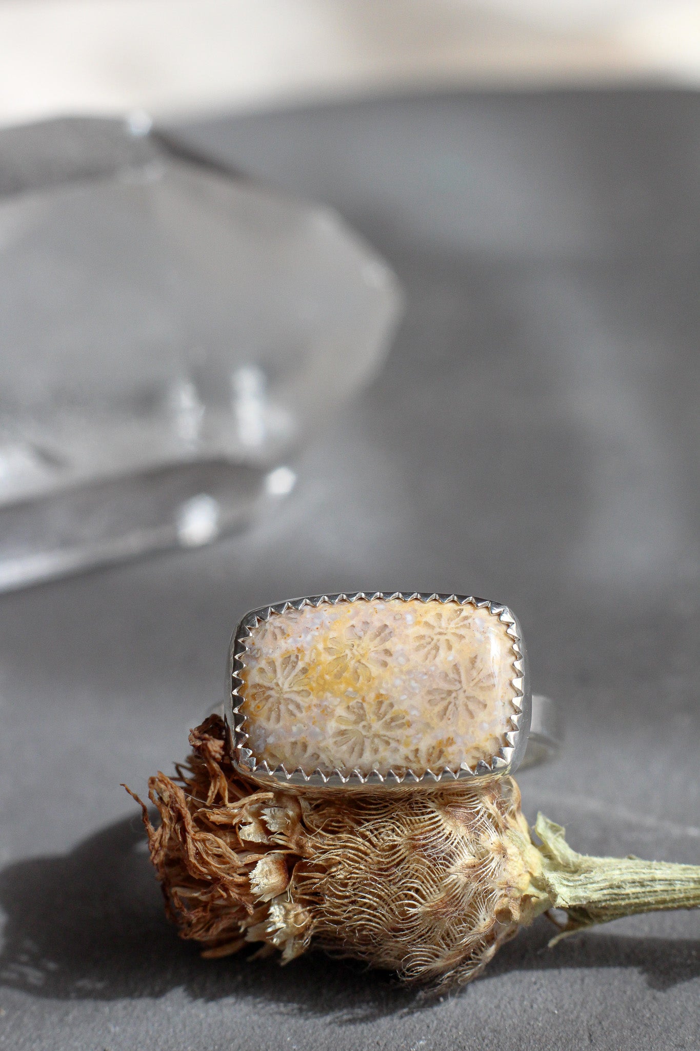 Fossilized Coral Ring // size 8